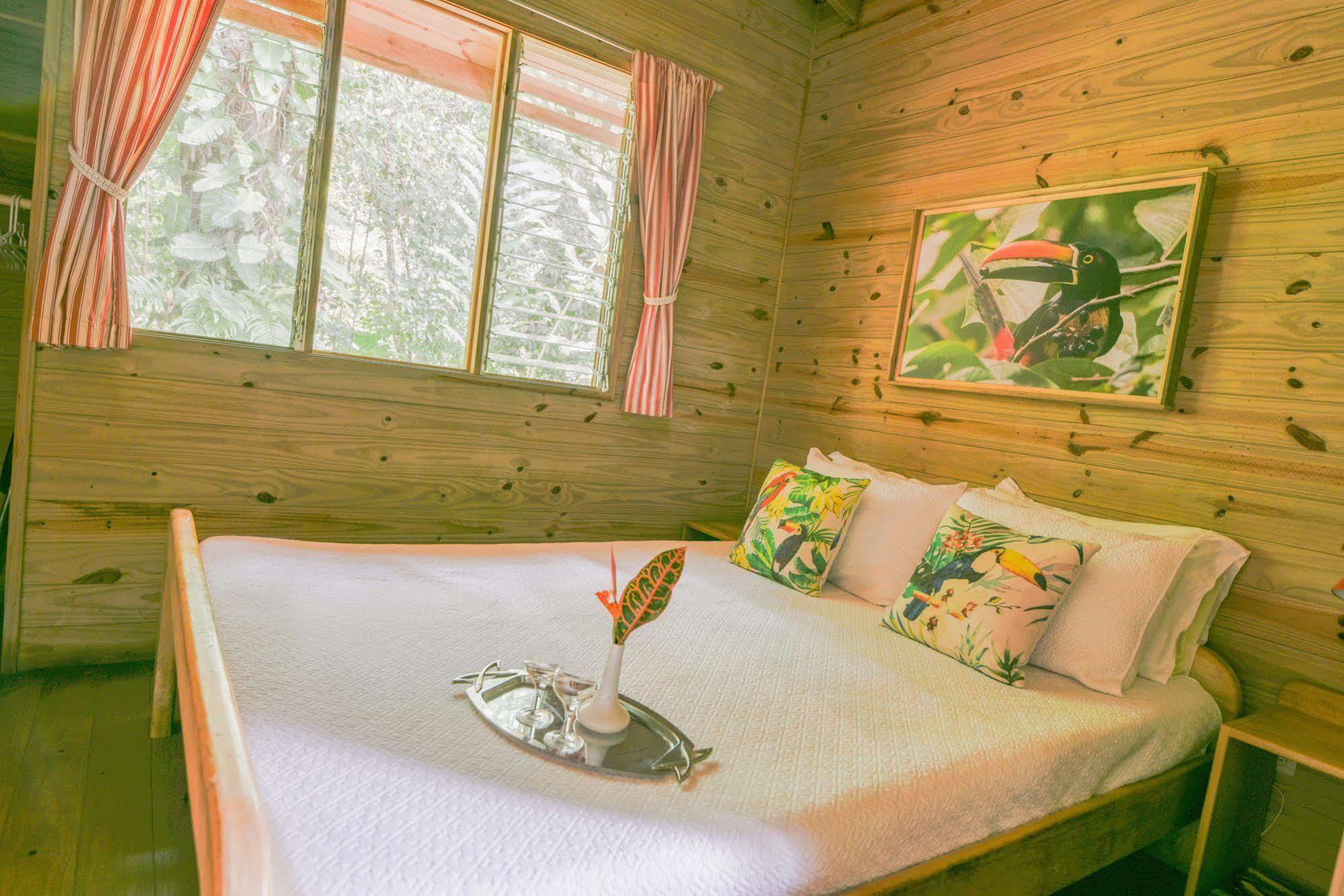 Hotel El Mono Feliz 오호찰 외부 사진